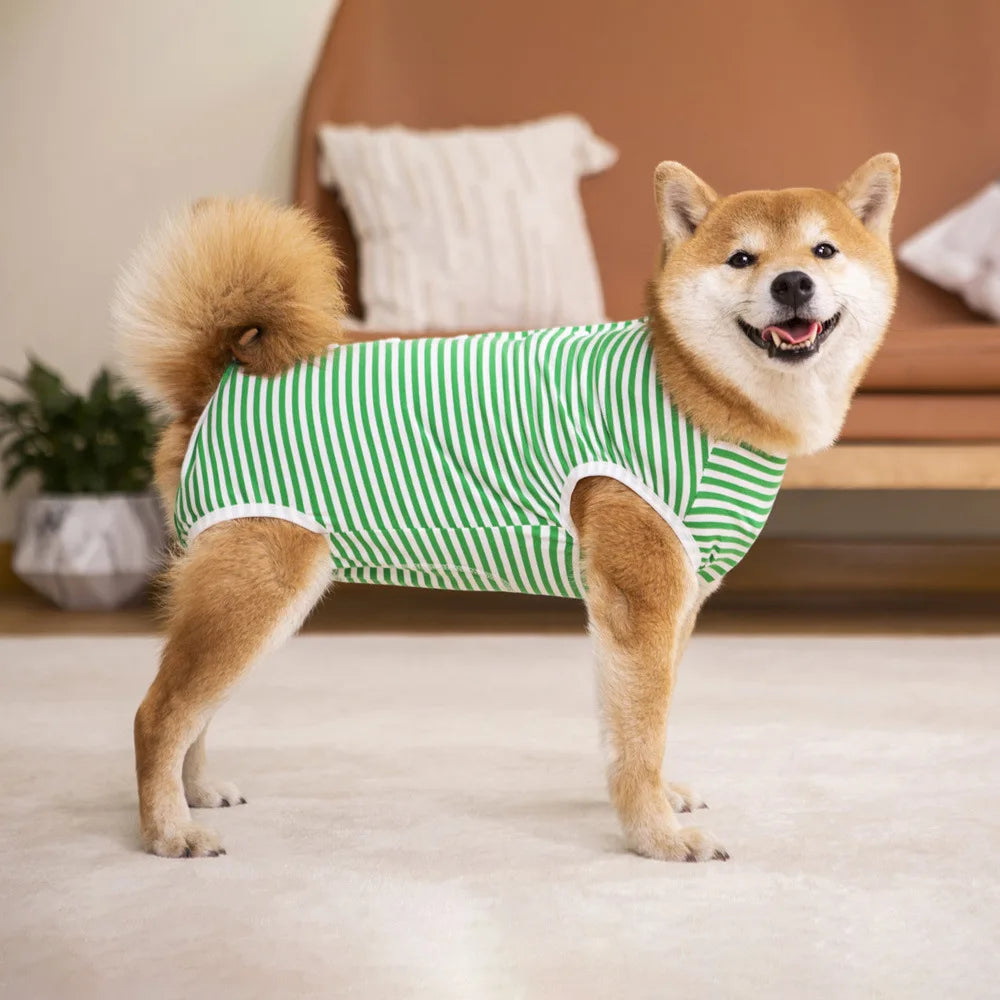 Dog Recovery Suit for After Surgery, Anti Licking Wounds Bodysuit Stripe Onesie Neuter Spay Surgery Suit for Medium Large Dogs