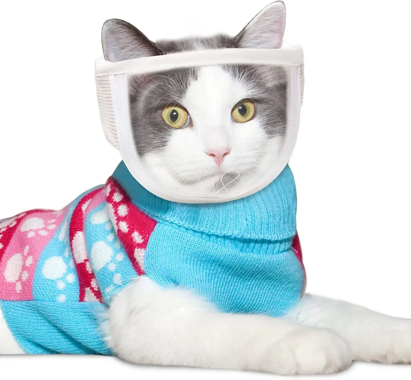 Pet Cat Bathing Grooming Tool with Transparent Mouth and Nose Mask Effective Anti-biting Cat Nail Clipper Auxiliary Tools 강아지 미용