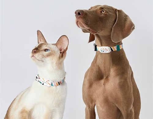 Pet Collection